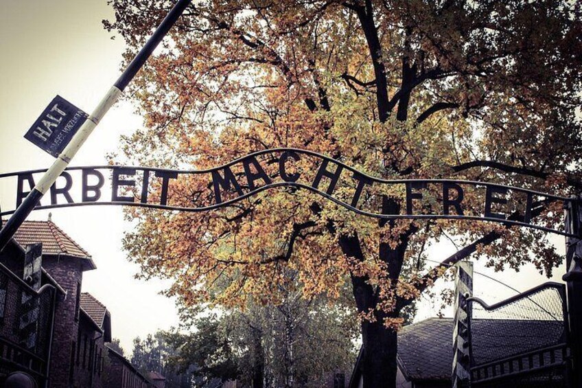 Auschwitz Birkenau Guided Tour Tickets and Transfer from Krakow 4