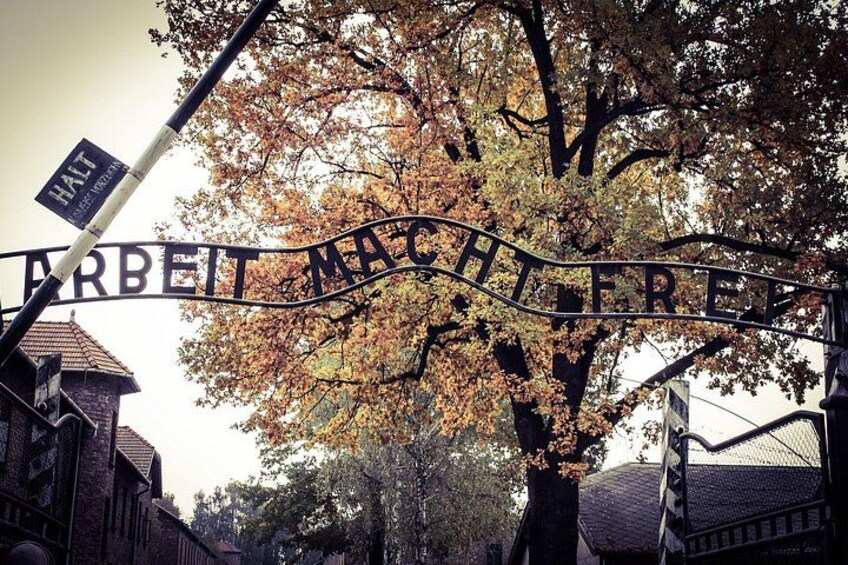 Auschwitz Birkenau Guided Tour Tickets and Transfer from Krakow 4