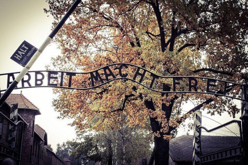 Auschwitz Birkenau Guided Tour Tickets and Transfer from Krakow 4