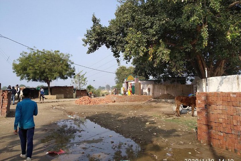 A rural area with a muddy path, a cow, and people in the background. 2