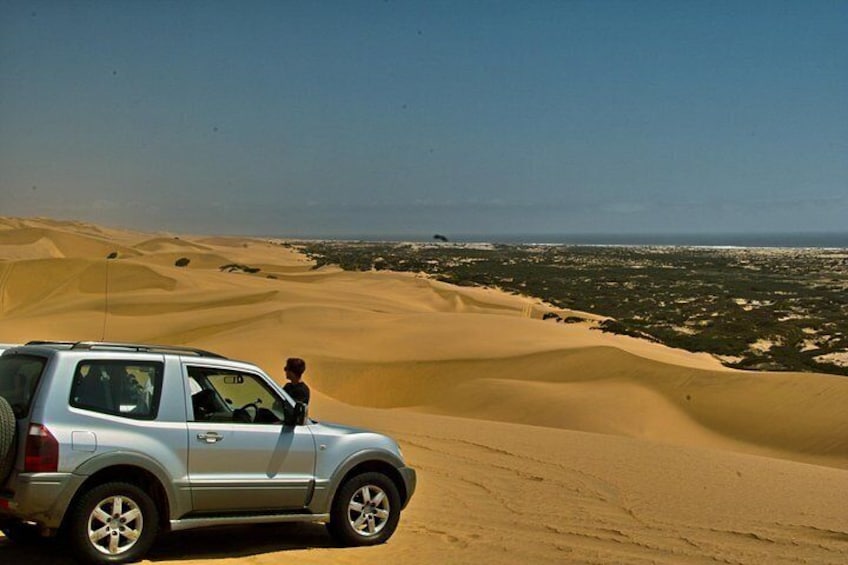 A silver SUV parked on a sandy dune with a person standing beside it, overlooking a vast desert landscape with sand dunes and a distant view of the coastline. 5