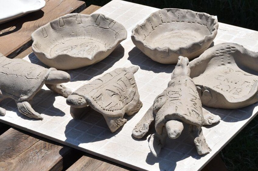 Turtles and bowls 2