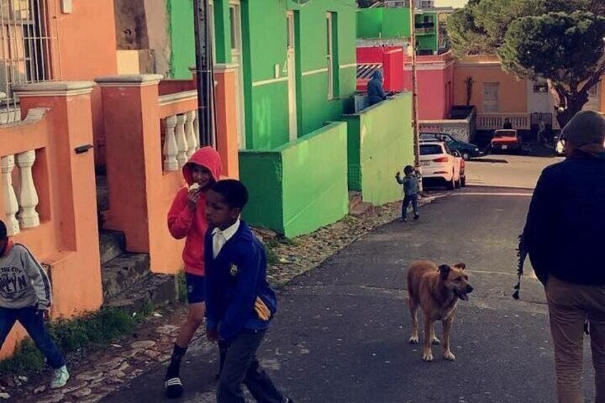 Bo-Kaap: Walk with a local 3