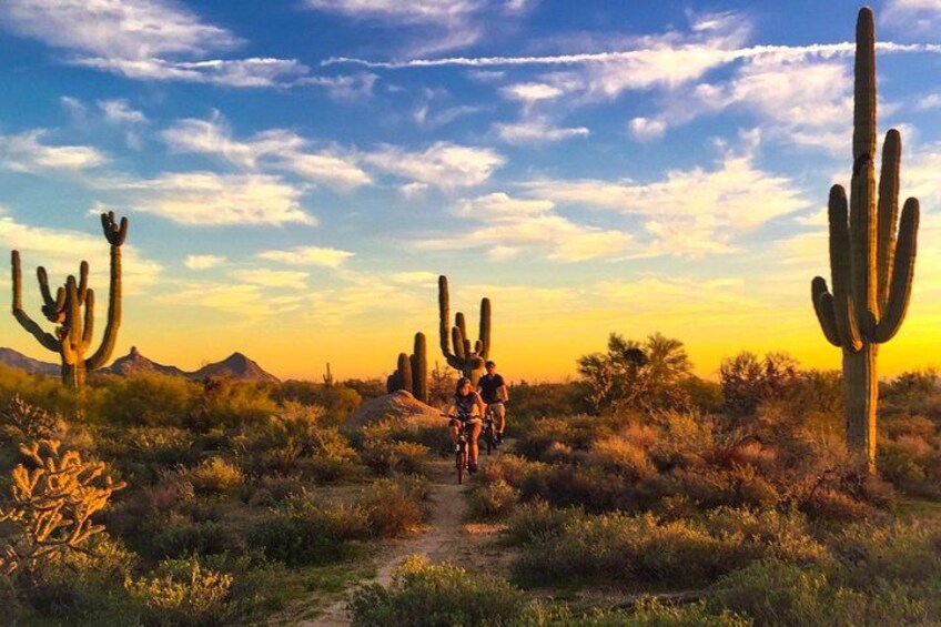 Een woestijnlandschap met cactussen en een onverharde weg. 4