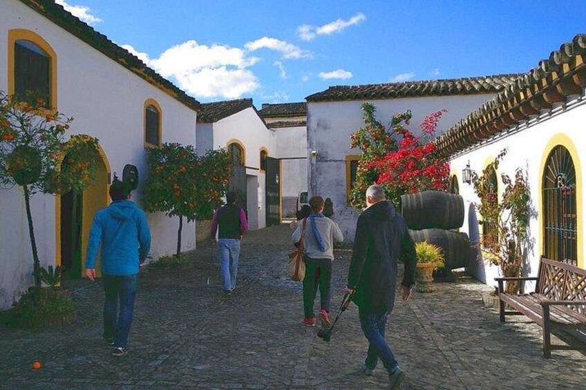 Una calle adoquinada con edificios blancos, gente caminando y un banco. 1