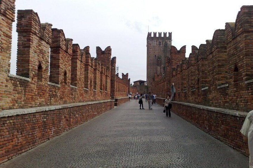 Verona private guided tour from Milan