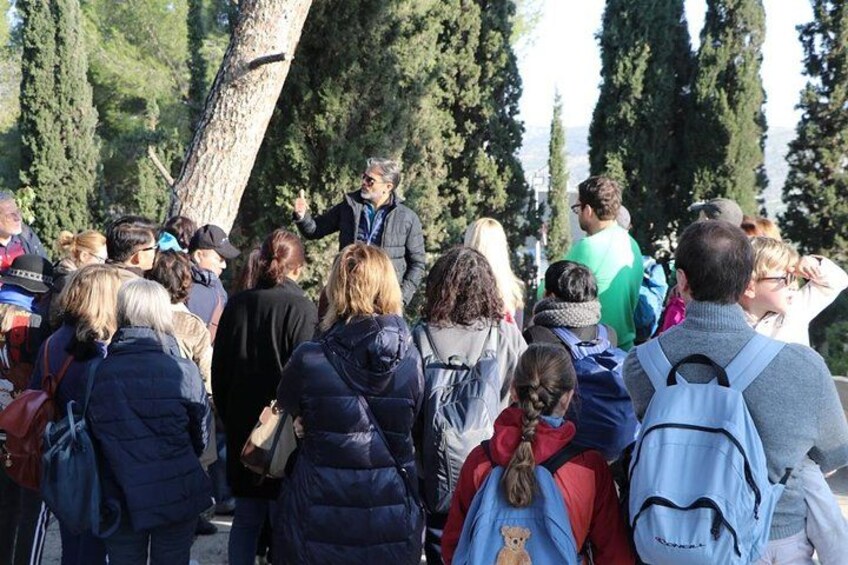 A group of people gathered outdoors, some with backpacks, standing near a large tree. 5