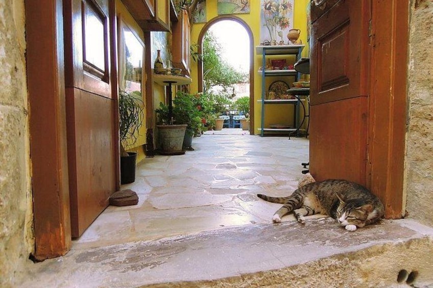 A cat lying on a stone pathway in a courtyard with potted plants and wooden doors. 4