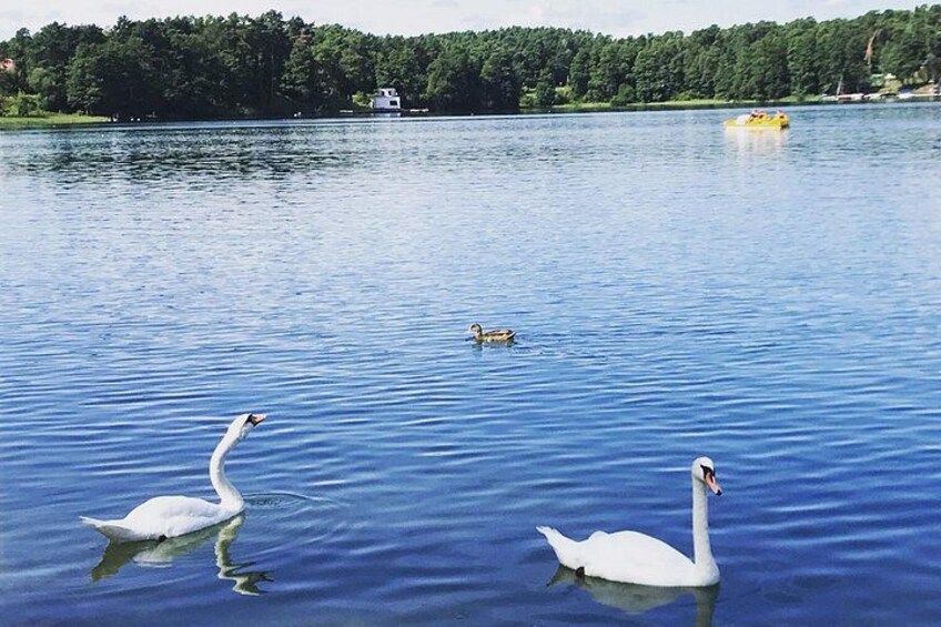From Vilnius: Private Tour to Trakai 5