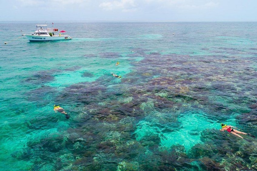 Key Largo Snorkeling Tour with Mask plus Fins and Vest Included 1
