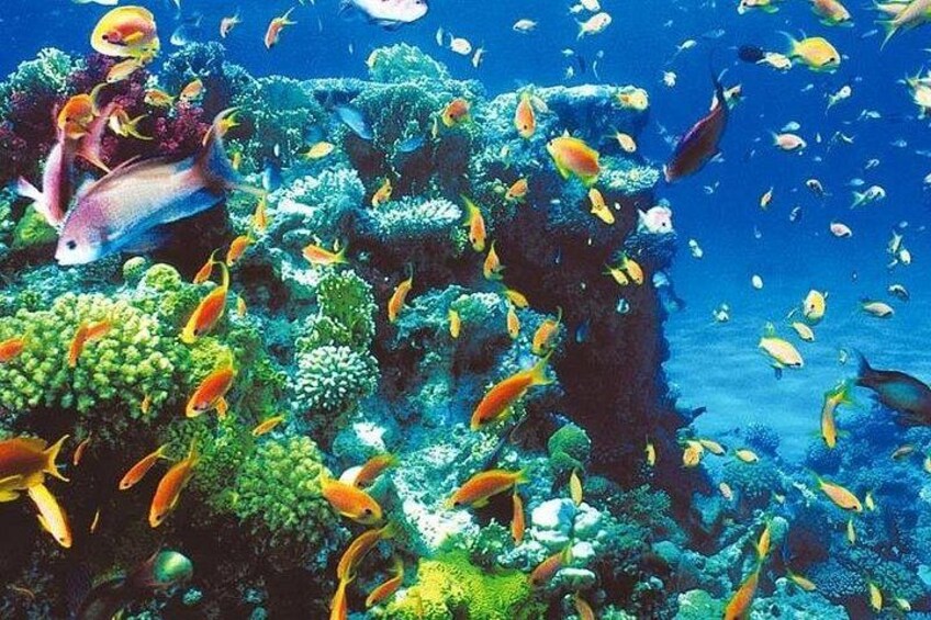 Blue Hole - Abu Galum -Blue Lagoon Snorkeling Trip From Dahab 1