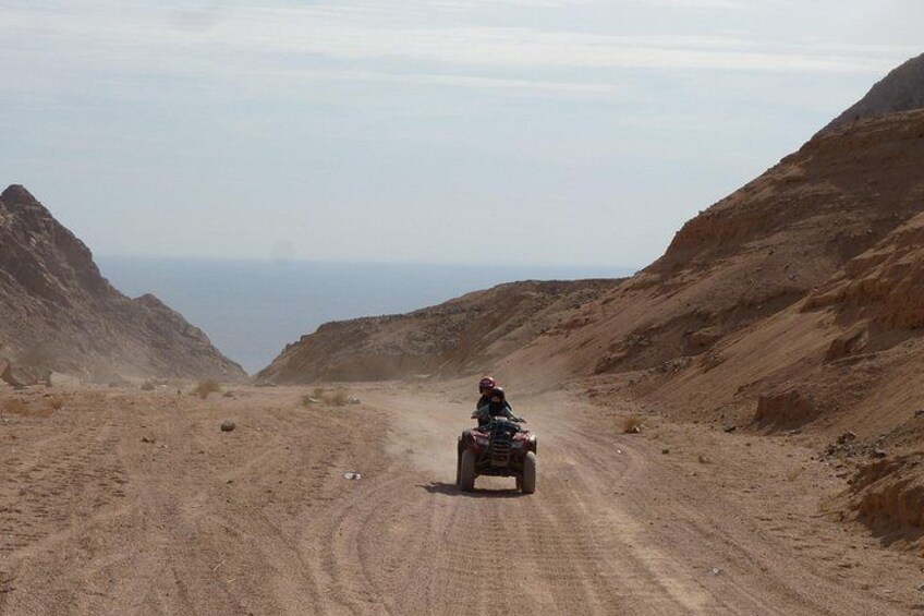 Adventure Quad Biking Tour in Dahab 3