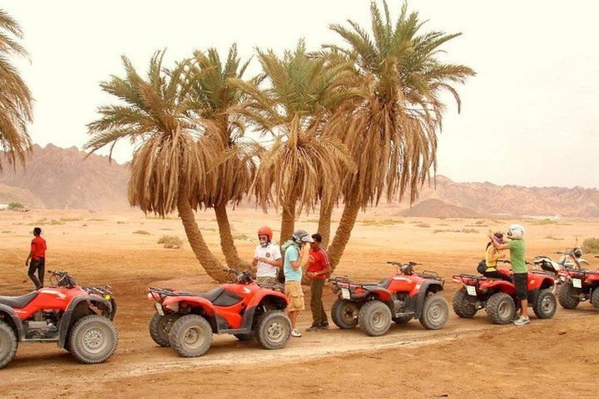 A group of people standing around red off-road vehicles in a desert with palm trees and mountains in the background. 1