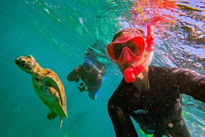 Snorkel & Whitehaven Beach Eco Cruise, Lunch | From Airlie Beach 4