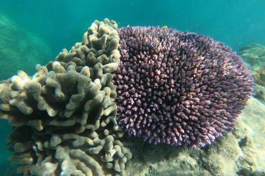 Great Barrier Reef Marine Park 5
