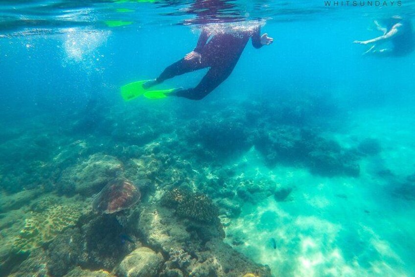 Snorkelling 2