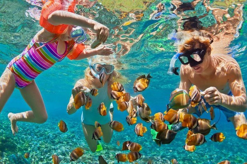 Snorkeling at Blue Lagoon 1