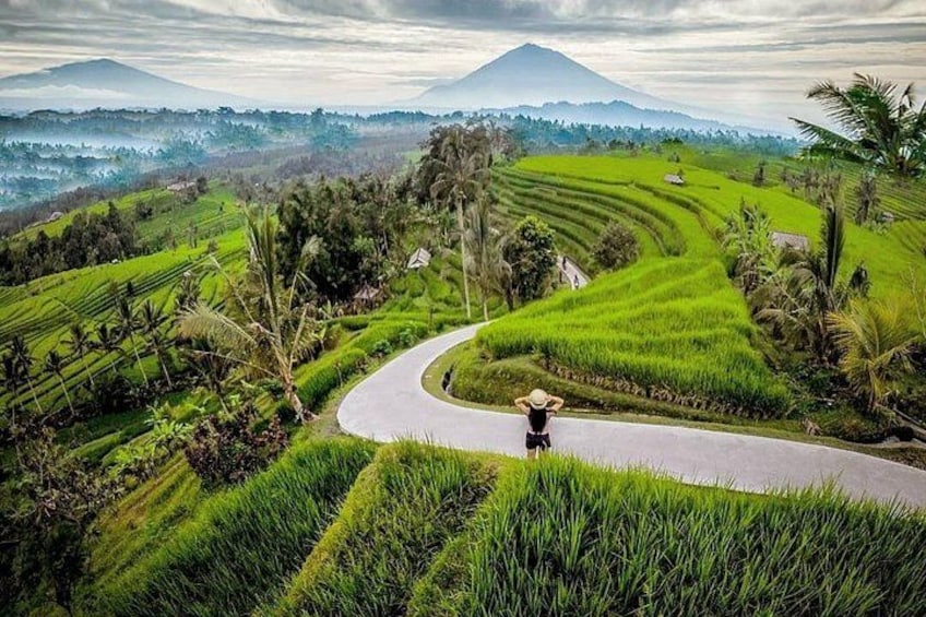 Full-Day Private North Bali Tour with Free WiFi 2