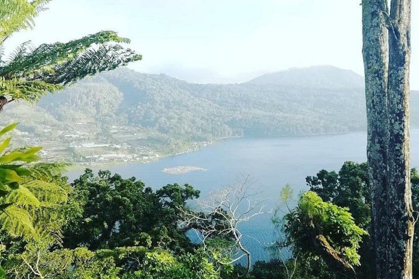 Full-Day Private North Bali Tour with Free WiFi 5