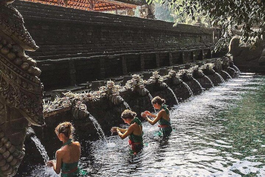 Individual Bali Day Trip with Private Driver and Free WiFi 4