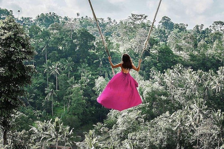 Individual Bali Day Trip with Private Driver and Free WiFi 3