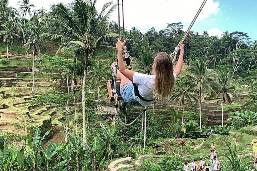 Individual Bali Day Trip with Private Driver and Free WiFi 2