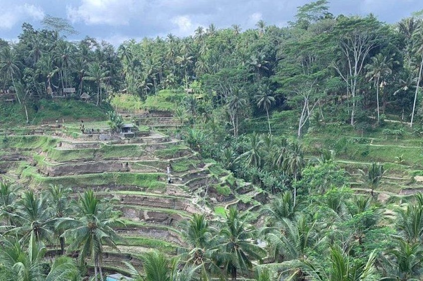 Private Bali Car Charter with Custom Itinerary 4