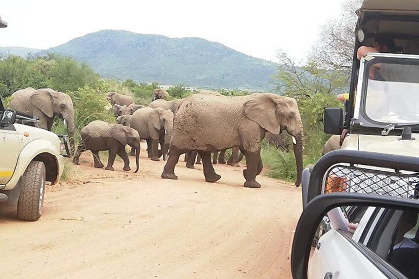 One day Kruger National Park tour Private