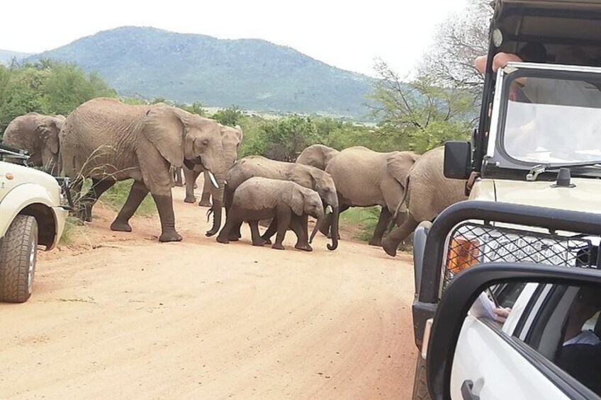 One day Kruger National Park tour Private 