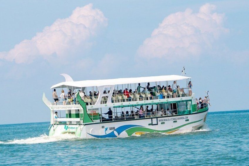 Whales and Dolphins Watching-Luxury Super Grade Cruiser(Hotel Pick up offered) 1