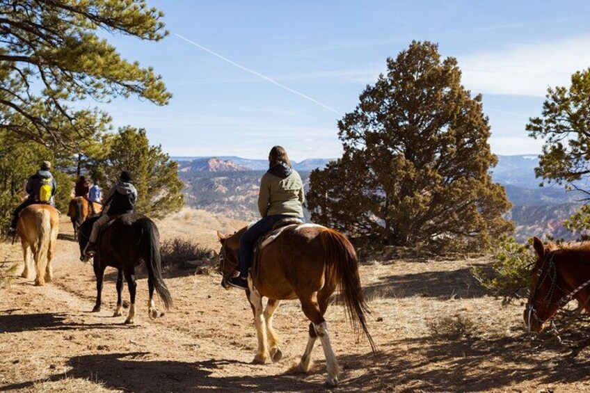 A group of people riding horses on a dirt trail with trees and mountains in the background. 2