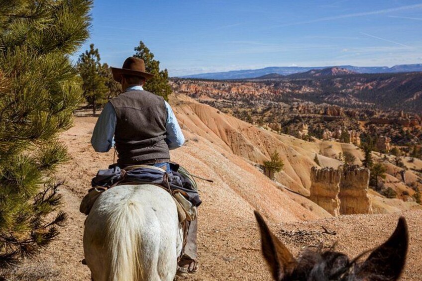 Ruby's Horseback Adventures Utah 1.5 Hour Ride 3