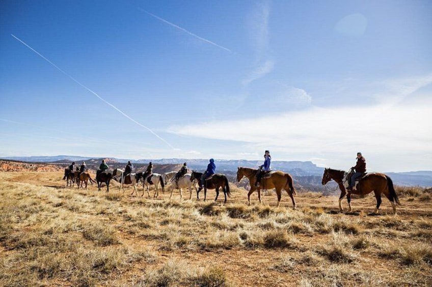 Ruby's Horseback Adventures Utah 1.5 Hour Ride 3