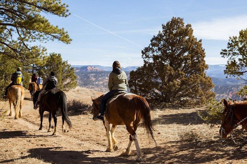 People riding horses on a dirt trail with trees and mountains in the background. 3