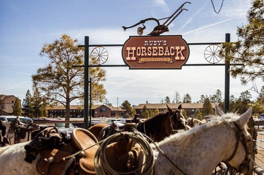 Ruby's Horseback Adventures Utah 1.5 Hour Ride 1