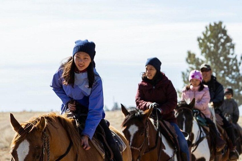 People riding horses in a field with trees in the background. 3