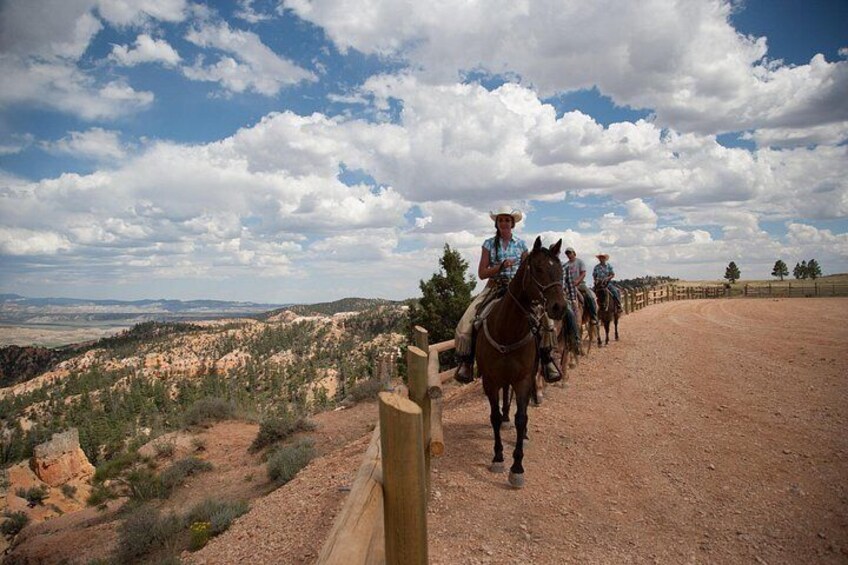 Ruby's Horseback Adventures Utah 1.5 Hour Ride 2
