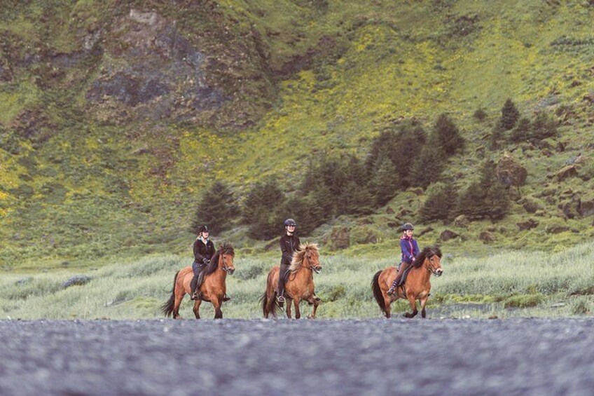 Three riders on horses in a grassy field with a hilly background. 2