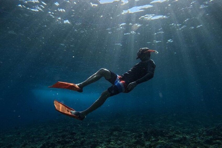 Una persona haciendo buceo submarino con aletas y máscara. 2