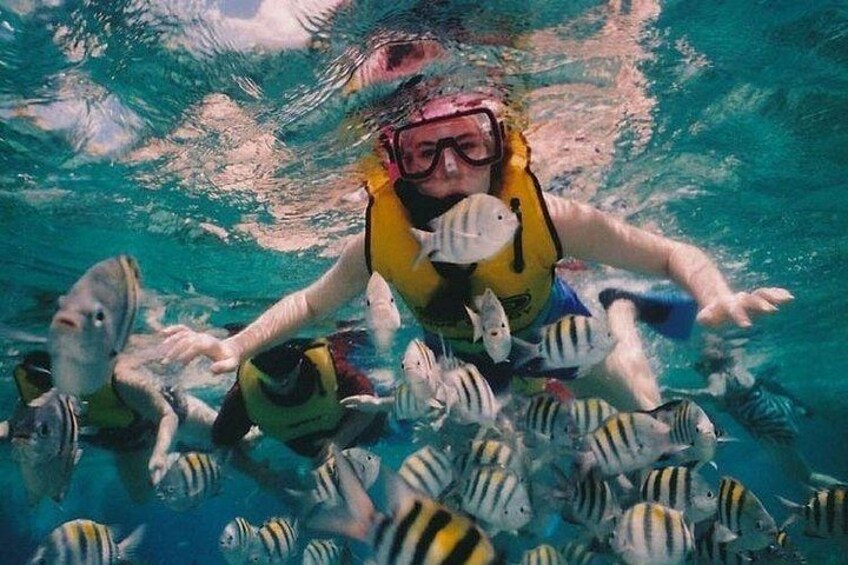 Blue Lagoon Snorkeling - Lunch - Kantolampo - Tibumana Waterfall 4