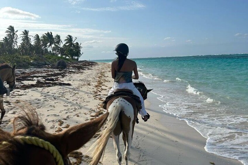 A person riding a horse along a beach with palm trees and the ocean in the background. 2