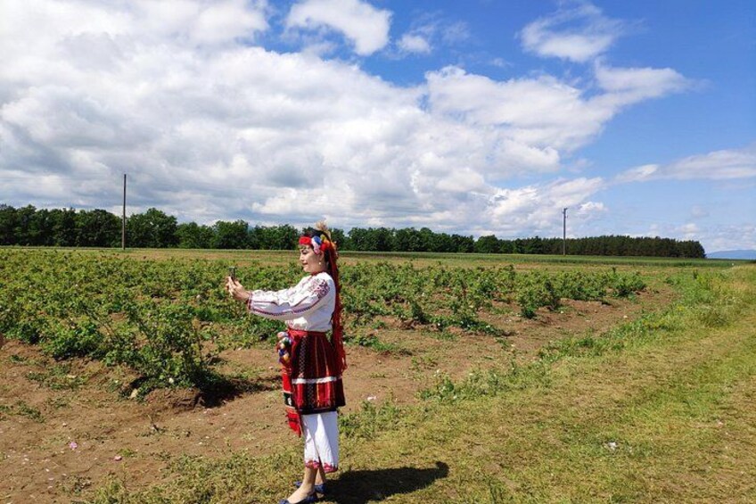 Visit to Lavender Fields & Lavender Oil Extraction Demo 3