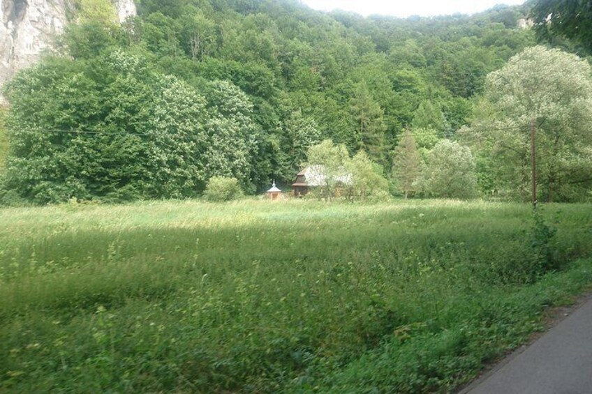 A rural landscape with a house surrounded by dense forest and a grassy field. 2