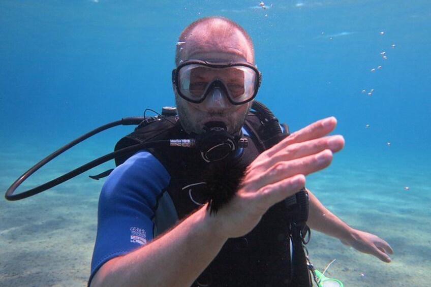 Lets Go Diving with pickup from hotel 5