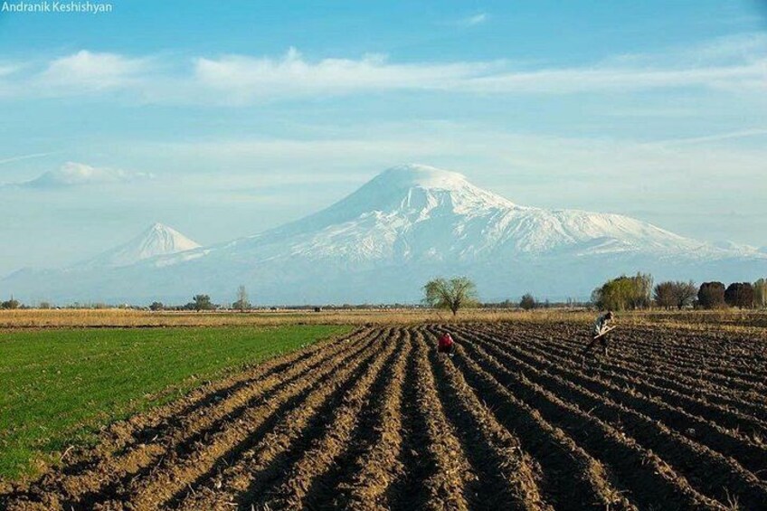 A plowed field with a person standing in the distance, a mountain in the background, and a clear sky. 5