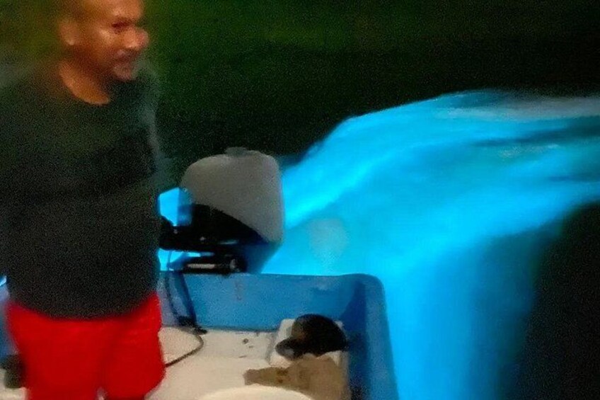 Bioluminiscense Lagoon Tour 1