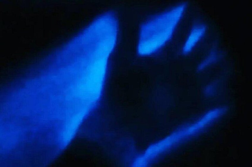 Une scène sombre, illuminée de motifs bleus. 4