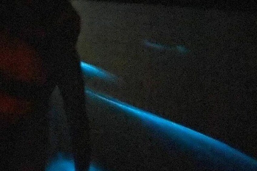 A dimly lit scene with a blue light source. 4