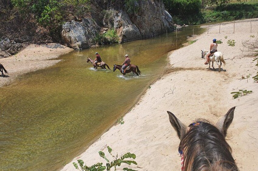 Horses on The Beach or Hot Springs 4
