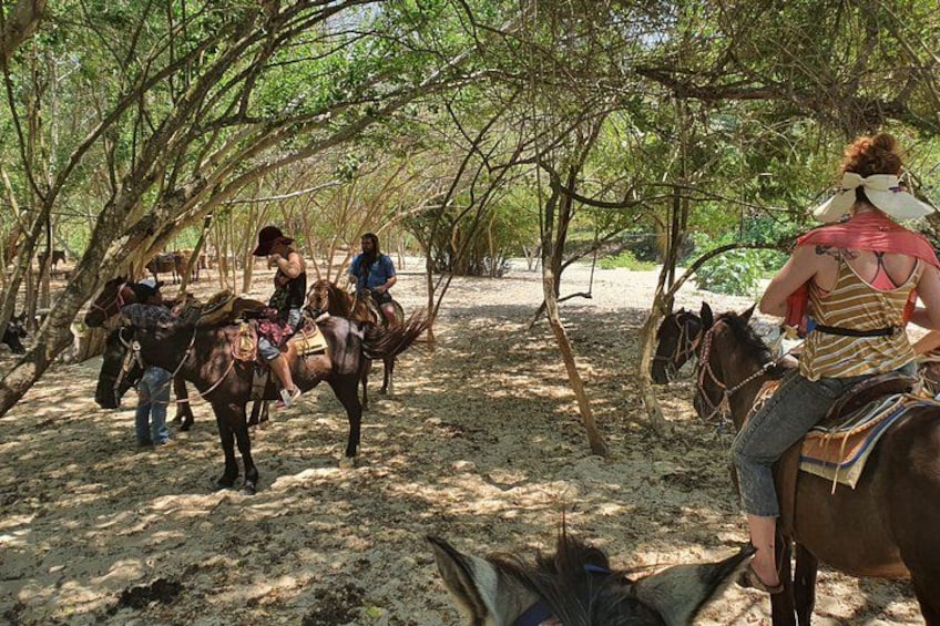 Horses on The Beach or Hot Springs 3